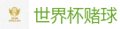 2026美加墨世界杯官网投注平台